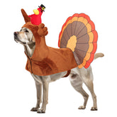 Pet Dog Turkey Outfits Cosplay Costume Halloween Carnival Suit