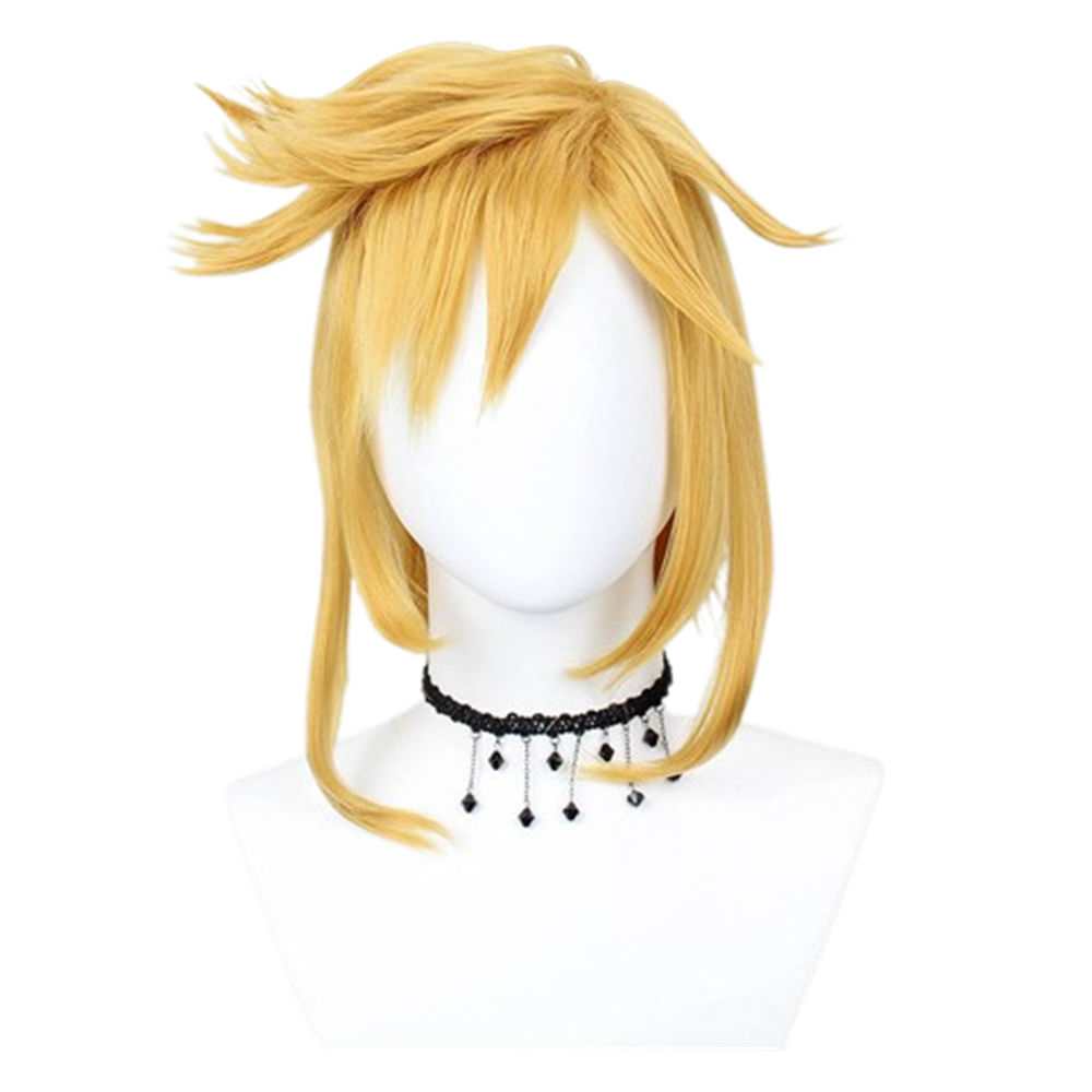 The Legend of Zelda Link Cosplay Wig Heat Resistant Synthetic Hair Car