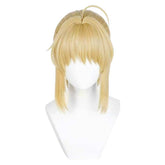 Fate/Stay Night Saber Alter Altria Pendragon Blue Skirt Outfits Cosplay Costume