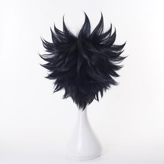 Anime Megumi Fushiguro Black Cosplay Wig Heat Resistant Synthetic Hair Halloween Carnival Props