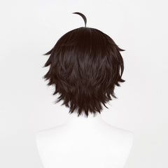 Honkai: Star Rail Dan Heng Cosplay Wig Heat Resistant Synthetic Hair Carnival Halloween Party Props