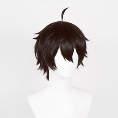 Honkai: Star Rail Dan Heng Cosplay Wig Heat Resistant Synthetic Hair Carnival Halloween Party Props