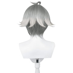 Genshin Impact AlHaitham Cosplay Wig Heat Resistant Synthetic Hair Carnival Halloween Party Props
