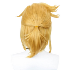 The Legend of Zelda Link Cosplay Wig Heat Resistant Synthetic Hair Carnival Halloween Party Props