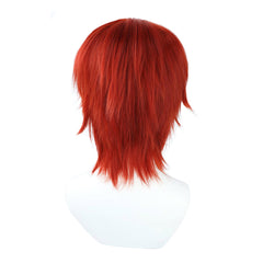 Anime One Piece Shanks Cosplay Wig Heat Resistant Synthetic Hair Carnival Halloween Props