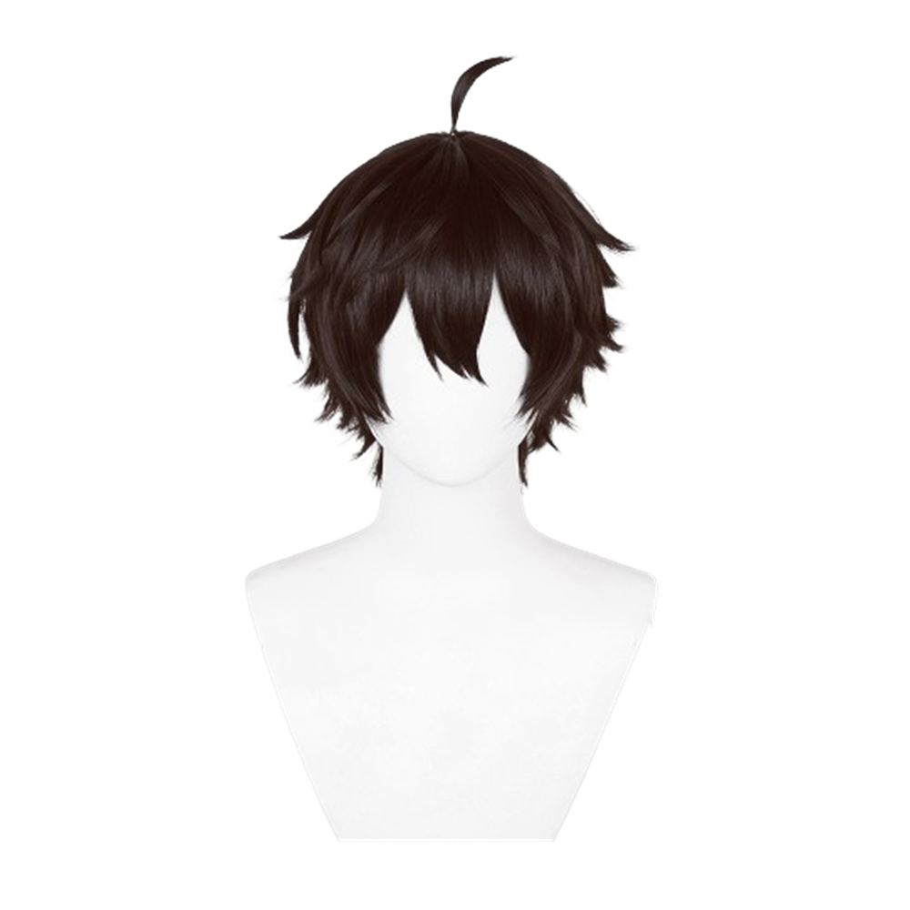 Honkai: Star Rail Dan Heng Cosplay Wig Heat Resistant Synthetic Hair Carnival Halloween Party Props