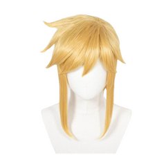 The Legend of Zelda Link Cosplay Wig Heat Resistant Synthetic Hair Carnival Halloween Party Props