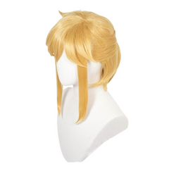 The Legend of Zelda Link Cosplay Wig Heat Resistant Synthetic Hair Carnival Halloween Party Props