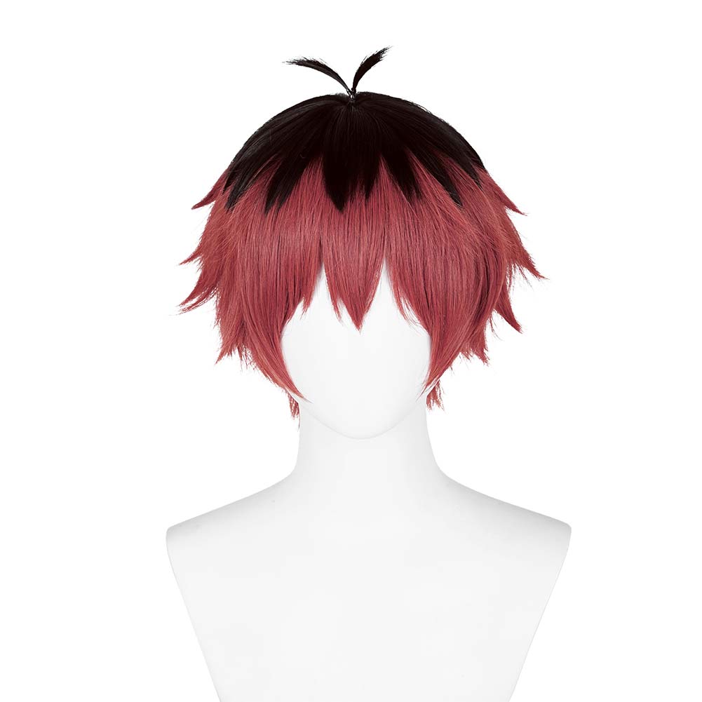 Anime Frieren:Beyond Journey's End 2023 Stark Wigs Cosplay Accessories Halloween Carnival Props