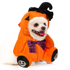 Dog Costume Thanksgiving Day Pumpkin Pet Costume Outfits Halloween Carnival Suit